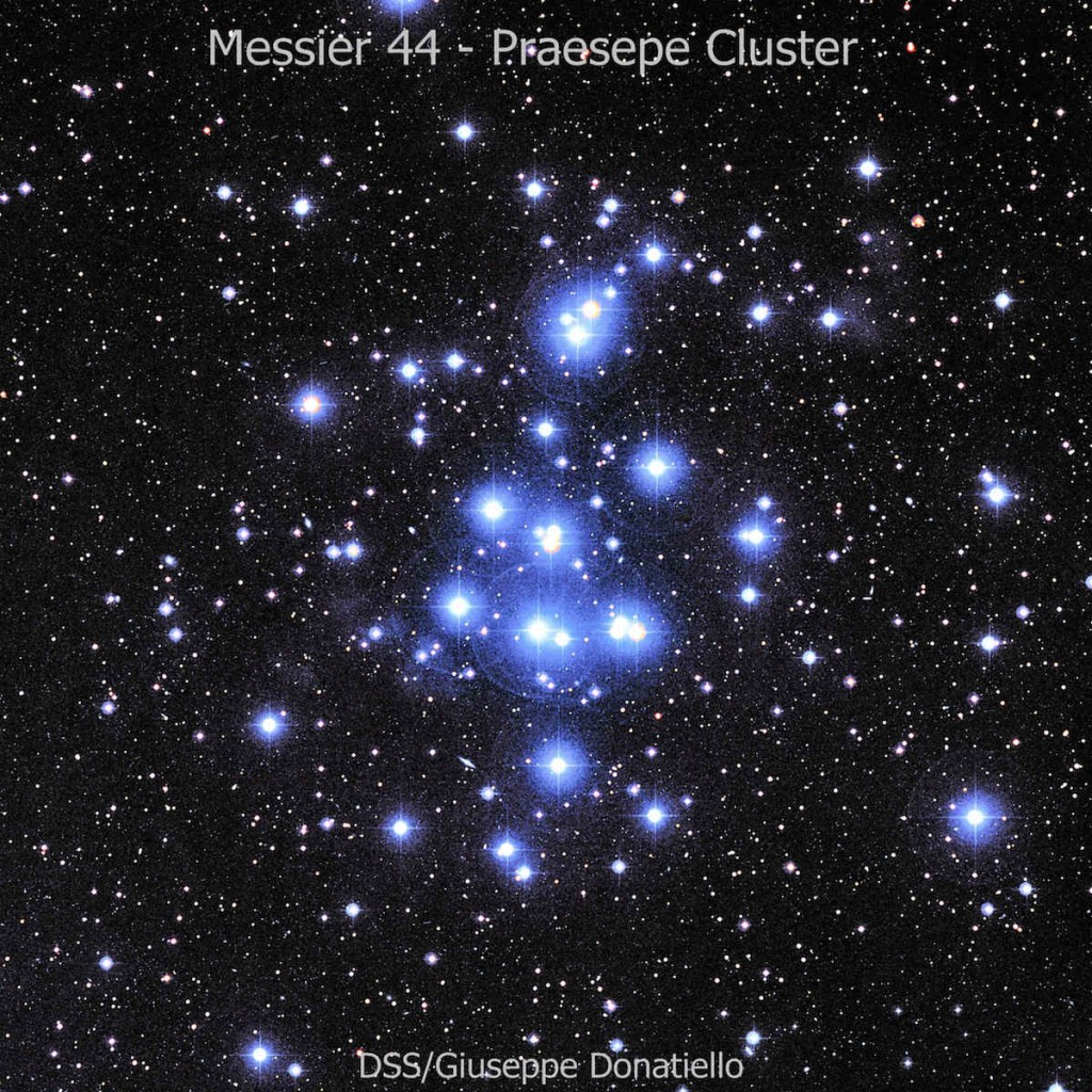 Giuseppe-Donatiello-M44-DSS-RGB-e-dida-SW_1453047124