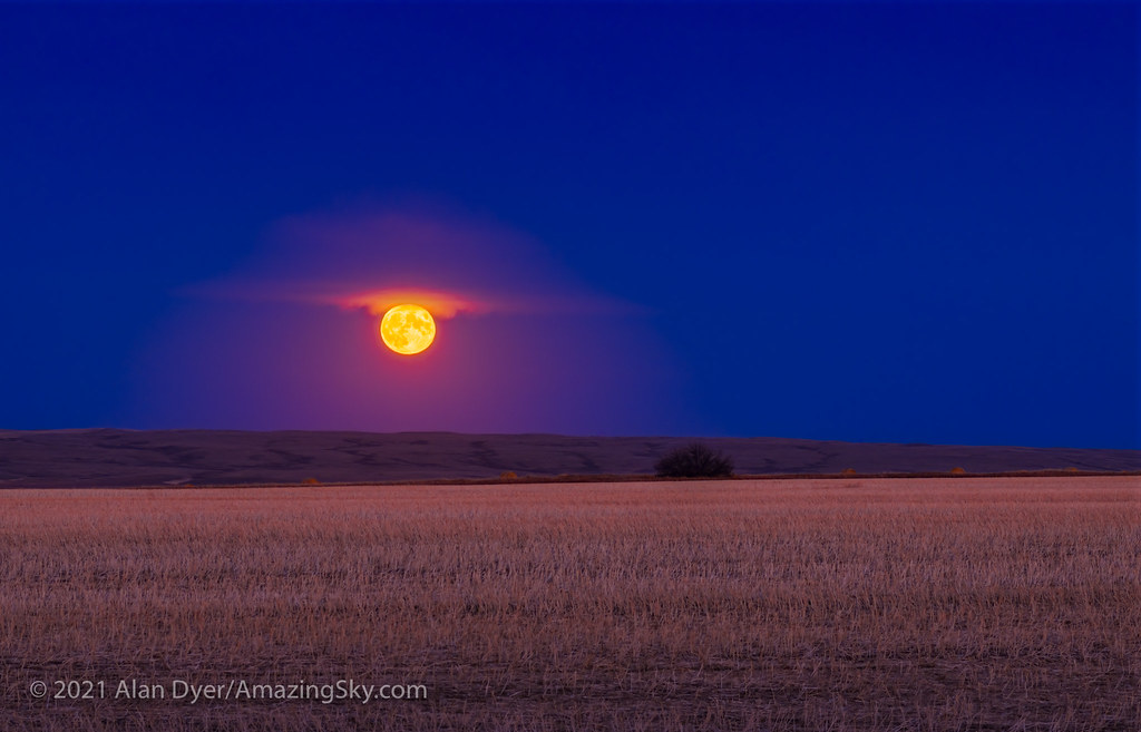 Hunter's Moonrise
